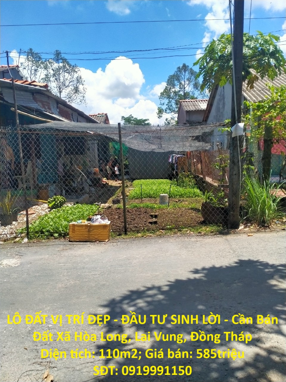 LÔ ĐẤT VỊ TRÍ ĐẸP - ĐẦU TƯ SINH LỜI - Cần Bán Đất Xã Hòa Long, Lai Vung, Đồng Tháp - Ảnh chính